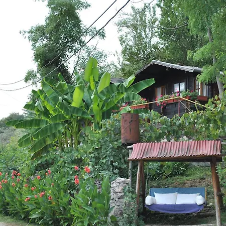 Bungalow- Casute Orsova
